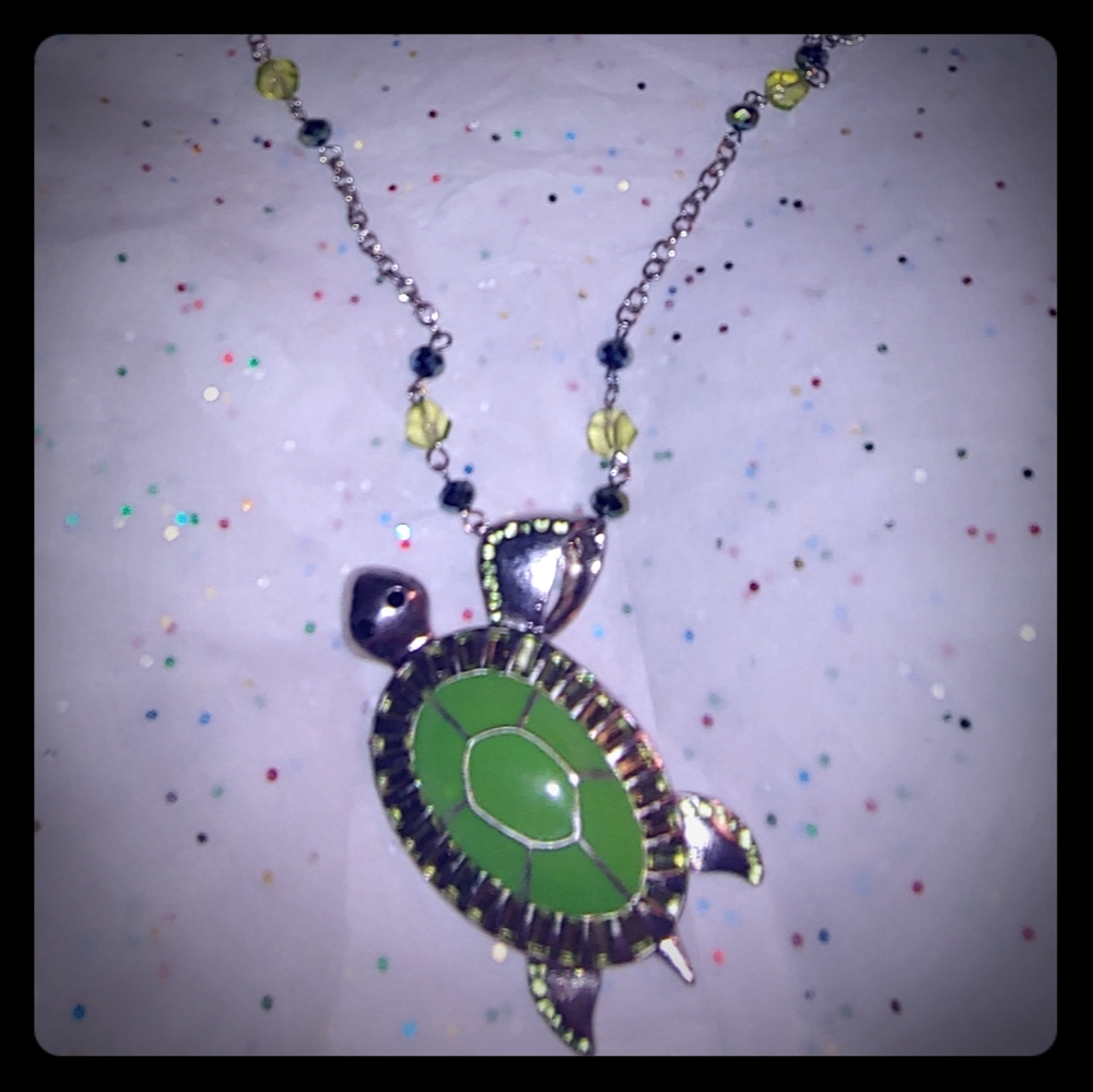 Green Silver Turtle Silver Beaded Chain